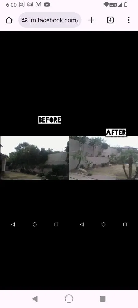 Trusted yard cleanup service experts serving Surprise, AZ - Haro Landscaping