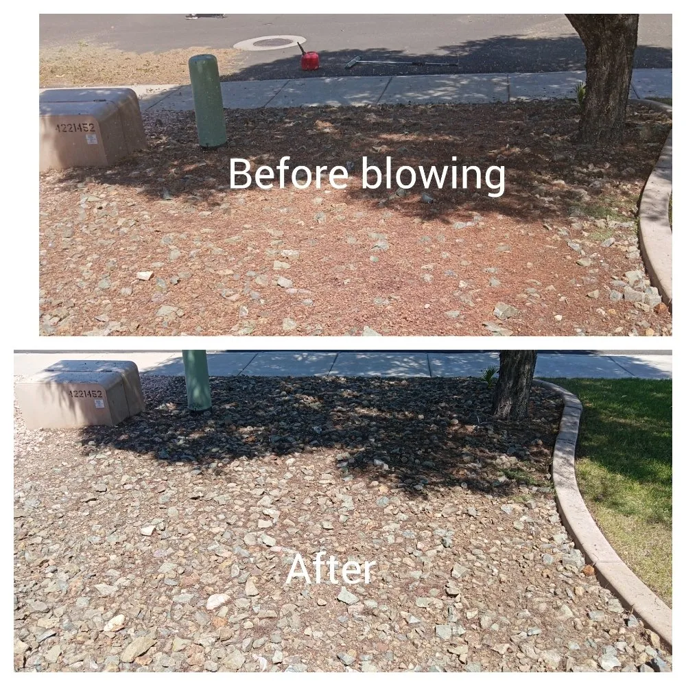 Expert landscaping services in Surprise, AZ - Haro Landscaping