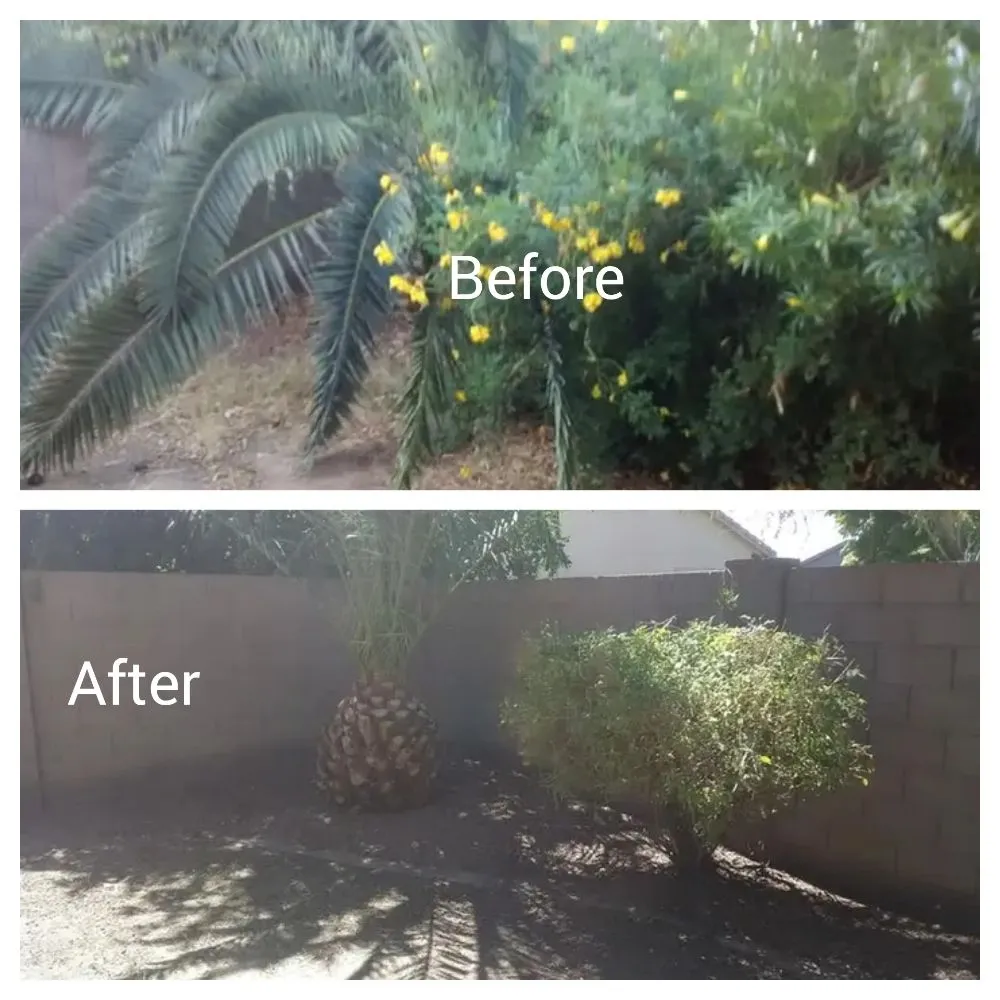 Expert garden landscaping for residential properties across Surprise, AZ - Haro Landscaping