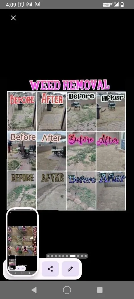 Expert yard maintenance near you in Surprise, AZ by Haro Landscaping