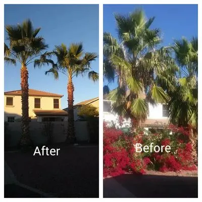 Haro Landscaping Logo