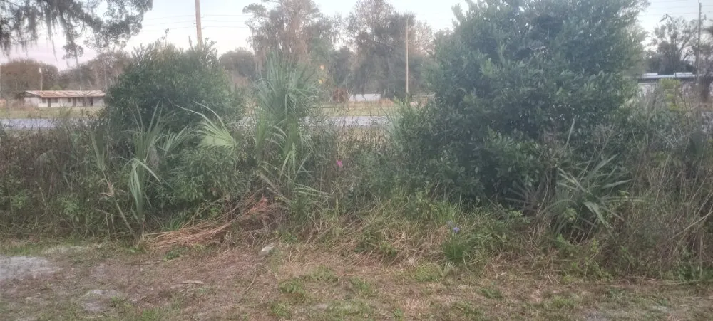 Professional outdoor landscaping with custom design in East Palatka, FL by Harold and Ethel Plus Lawn Service