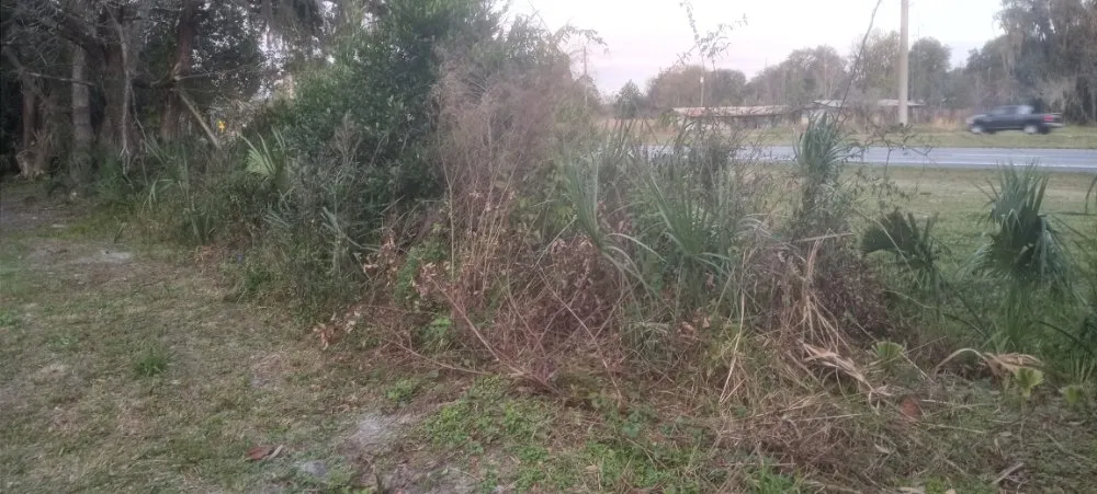 Professional lawn mowing service in East Palatka, FL by Harold and Ethel Plus Lawn Service