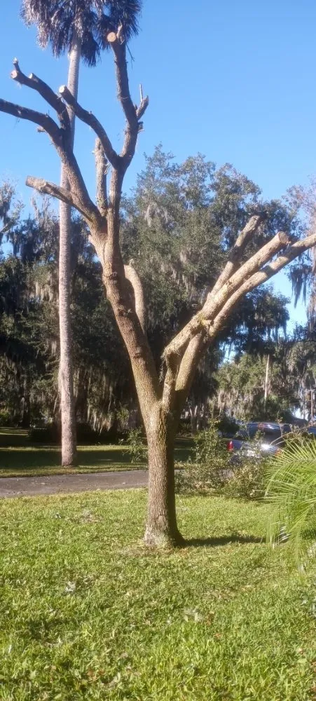 Top-rated garden landscaping in East Palatka, FL - Harold and Ethel Plus Lawn Service