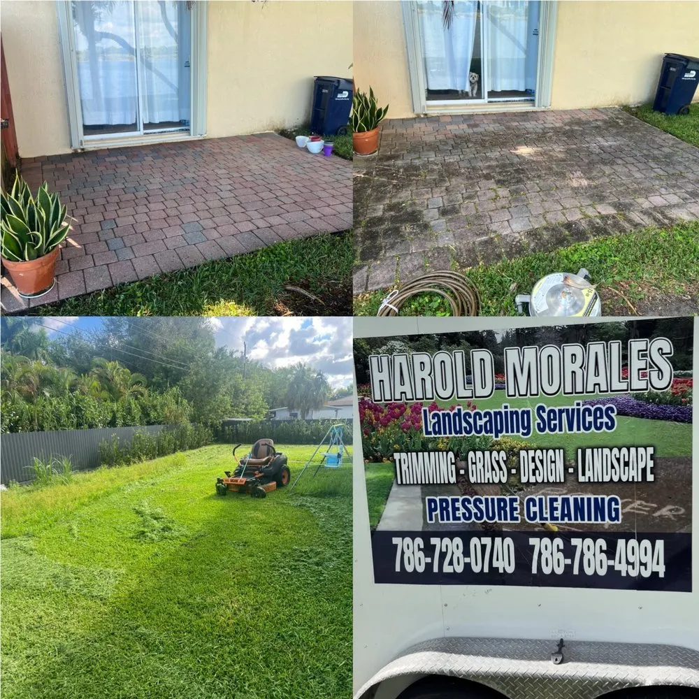 Professional yard cleanup service with custom design in Florida City, FL by Harold Morales Landscaping Service
