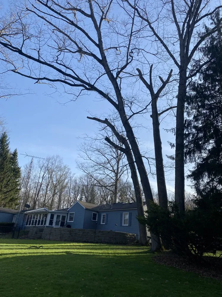 Trusted lawn care service experts serving Hermitage, PA - HARP Landscaping