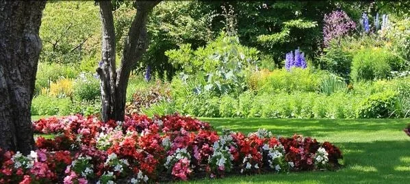 Professional garden landscaping in Hermitage, PA - HARP Landscaping