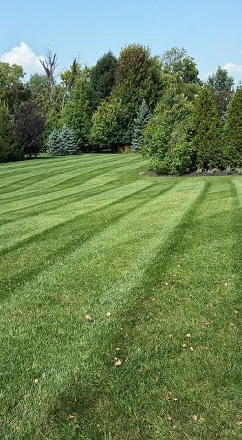 Trusted lawn care service for homes across Worthington, OH - Harp Lawn & Landscaping