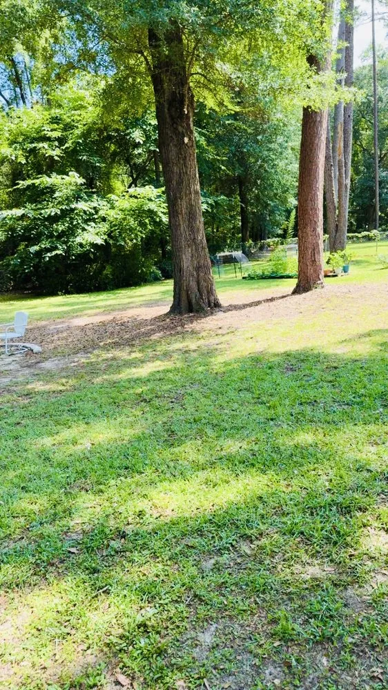 Top-rated yard maintenance for outdoor upgrades in Climax, GA by Harper Hill Lawn Care