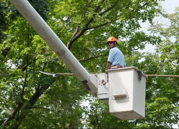 Reliable outdoor landscaping experts serving Jackson, MS - Harper Landscaping Solutions