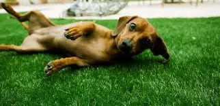 Professional residential landscaping for homes in Omaha, NE by Harper Lawn Care