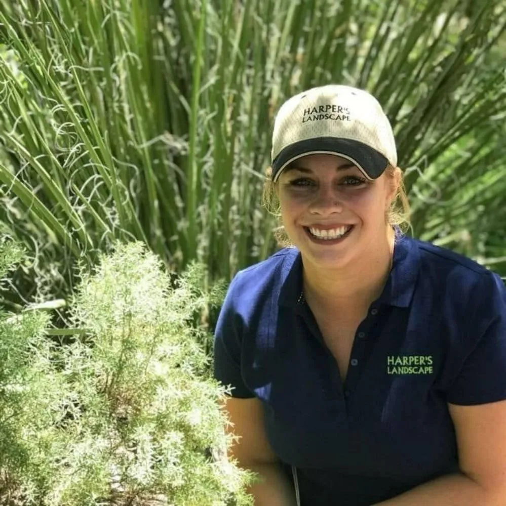 Custom garden landscaping in Roswell, NM - Harper's Landscaping