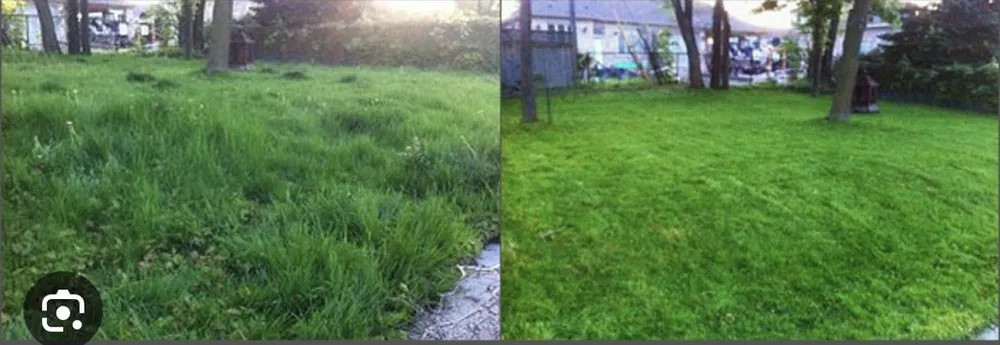 Trusted lawn care service in Macon, GA by Harper’s Lawn Care and Pressure Washing Services