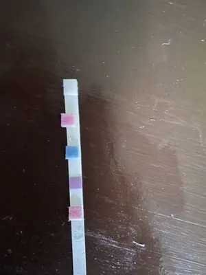 Harper’s Southern Grass Stripping Logo