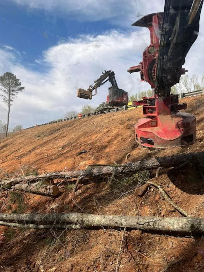 Professional lawn mowing service with custom design across Ellaville, GA - Harper's Tree and Stump Removal