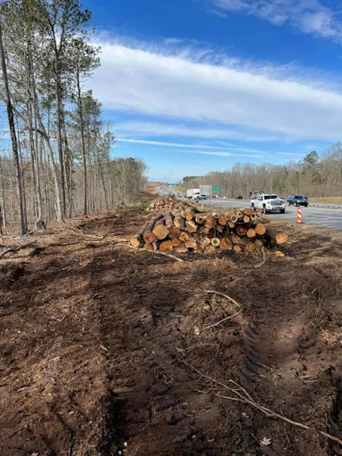 Top-rated landscape design in Ellaville, GA by Harper's Tree and Stump Removal