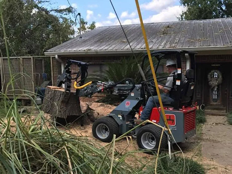 Reliable lawn care service experts serving Ellaville, GA - Harper's Tree and Stump Removal
