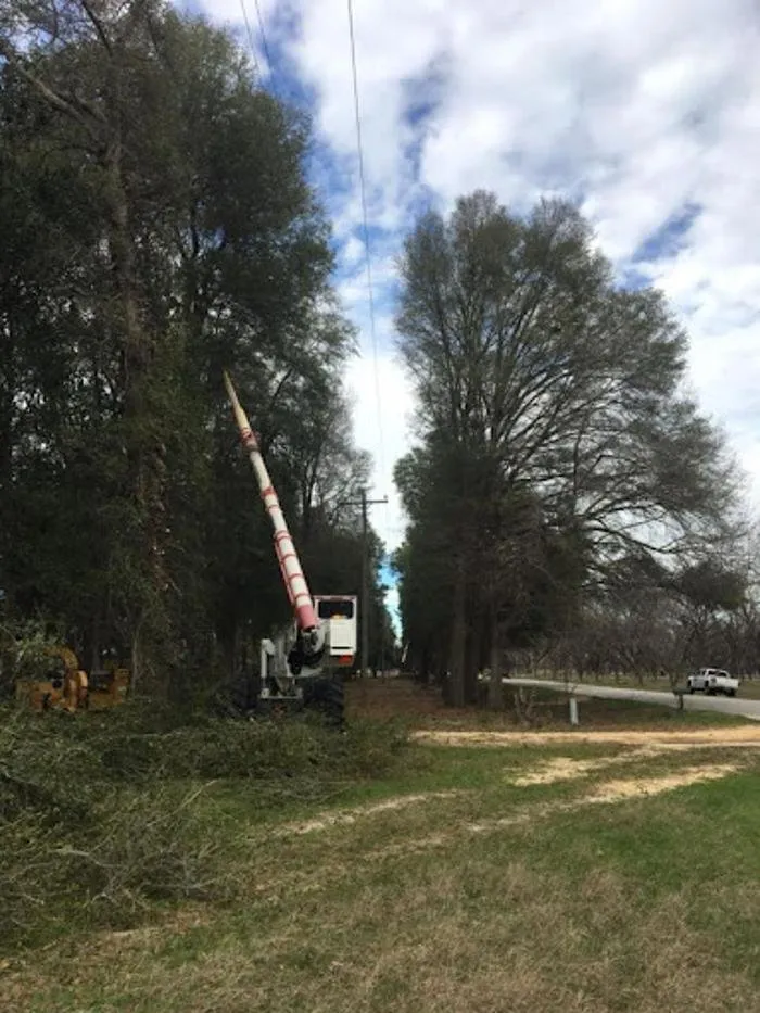 Top-rated residential landscaping for beautiful yards across Ellaville, GA - Harper's Tree and Stump Removal