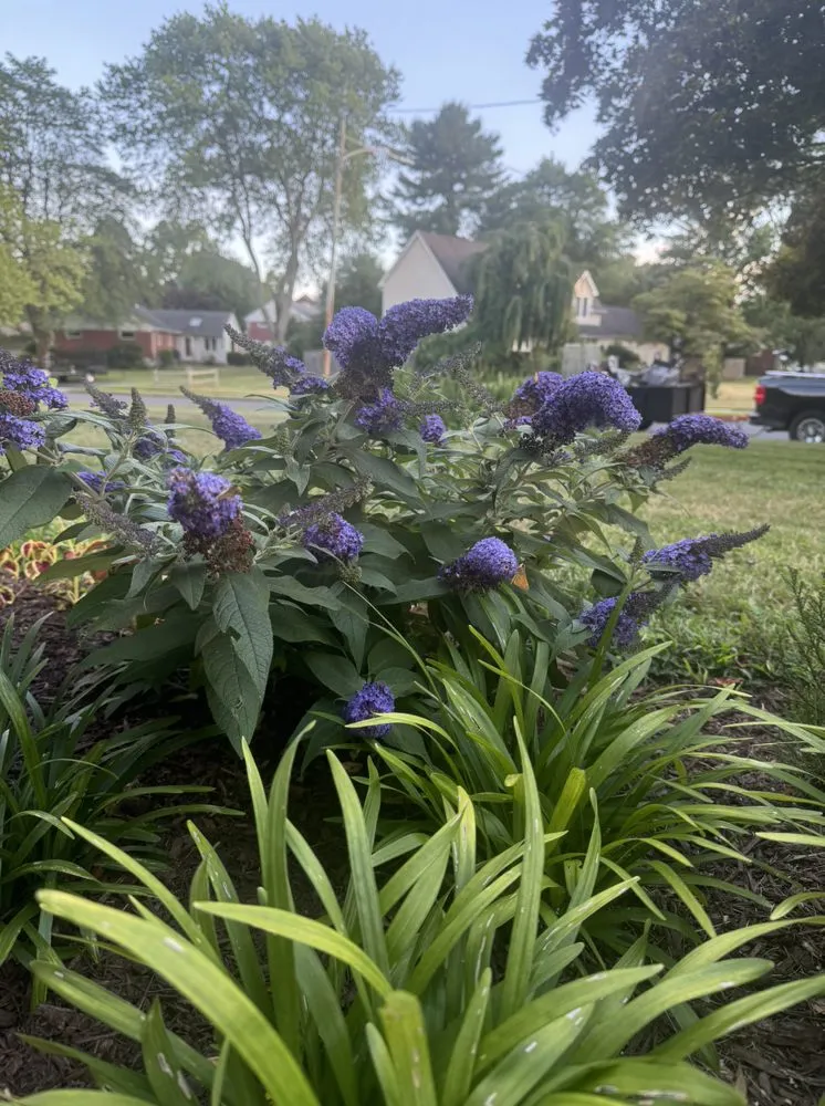 Professional lawn mowing service for homes across Broomall, PA - Harpwell Gardens and Landscape