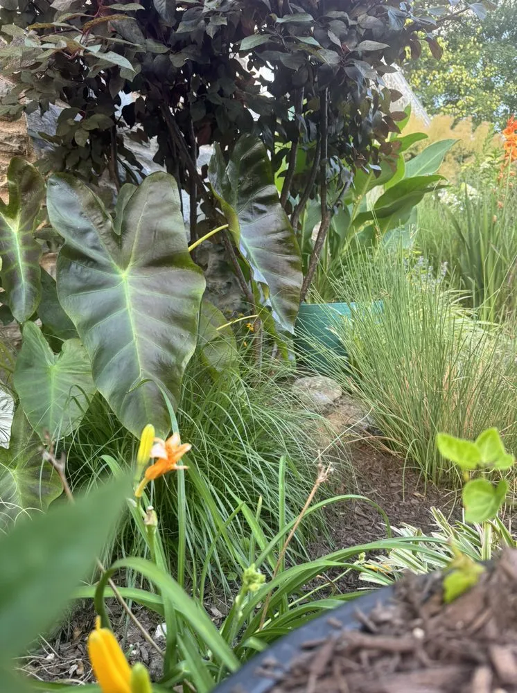 Professional yard maintenance in Broomall, PA by Harpwell Gardens and Landscape