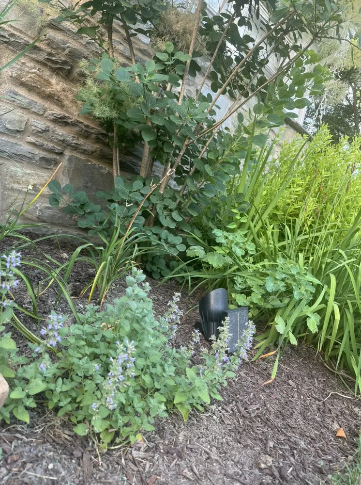 Professional residential landscaping with custom design in Broomall, PA by Harpwell Gardens and Landscape