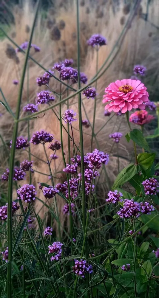 Custom lawn mowing service near you in Broomall, PA by Harpwell Gardens and Landscape