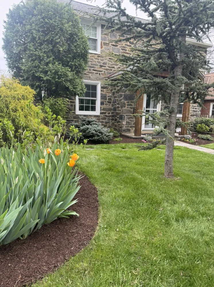 Reliable yard cleanup service in Broomall, PA by Harpwell Gardens and Landscape