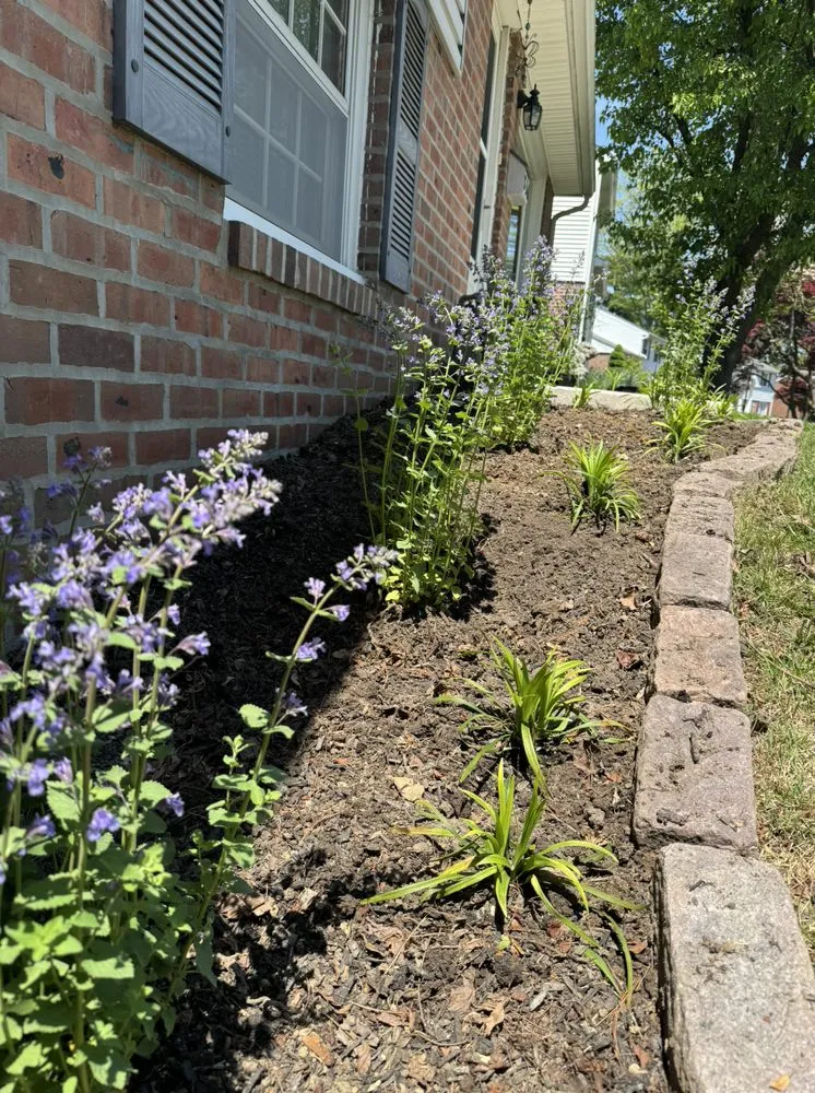 Local lawn care service for year-round maintenance across Broomall, PA - Harpwell Gardens and Landscape