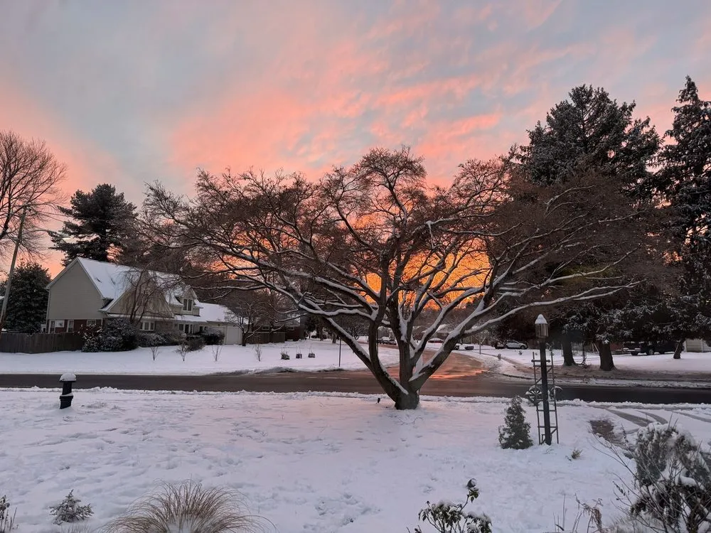 Reliable residential landscaping for year-round maintenance across Broomall, PA - Harpwell Gardens and Landscape