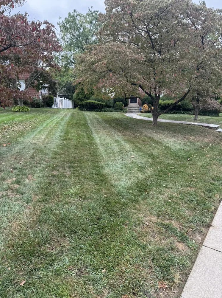Reliable lawn care service in Broomall, PA - Harpwell Gardens and Landscape