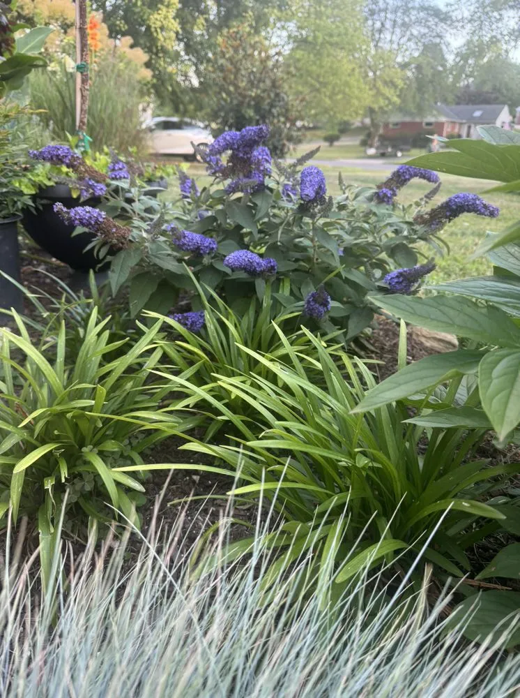 Local yard maintenance for beautiful yards in Broomall, PA by Harpwell Gardens and Landscape