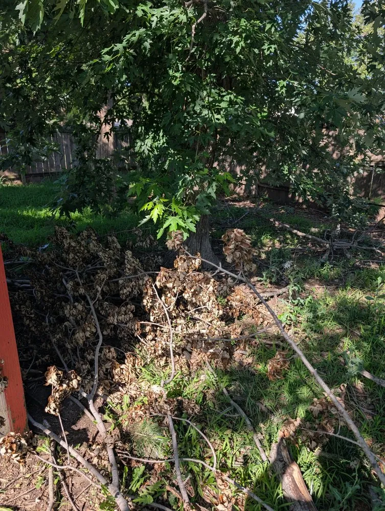 Local yard cleanup service in Viola, KS by Harrel Home Services
