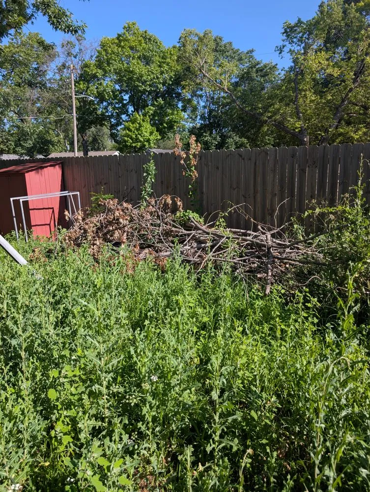 Top-rated yard cleanup service with custom design in Viola, KS by Harrel Home Services