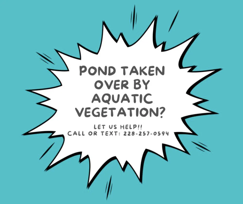 Professional landscaping services for beautiful yards in Saucier, MS by Harrell Brothers