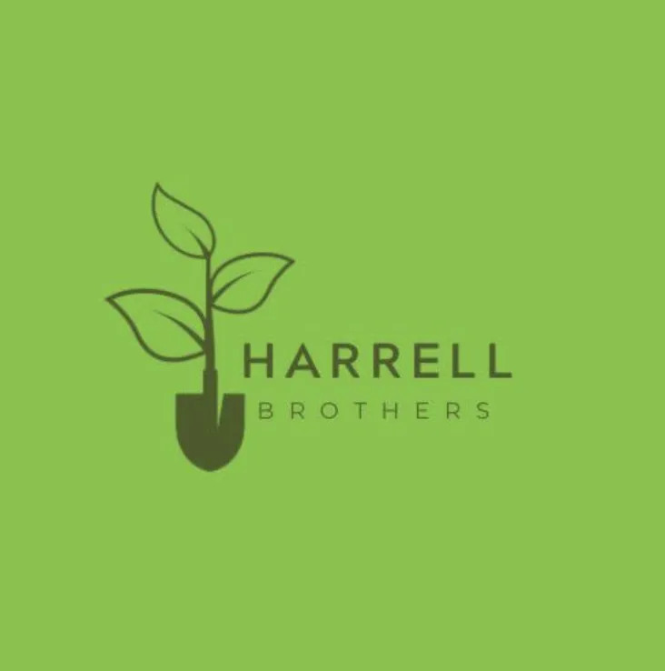 Custom yard cleanup service near you in Saucier, MS by Harrell Brothers