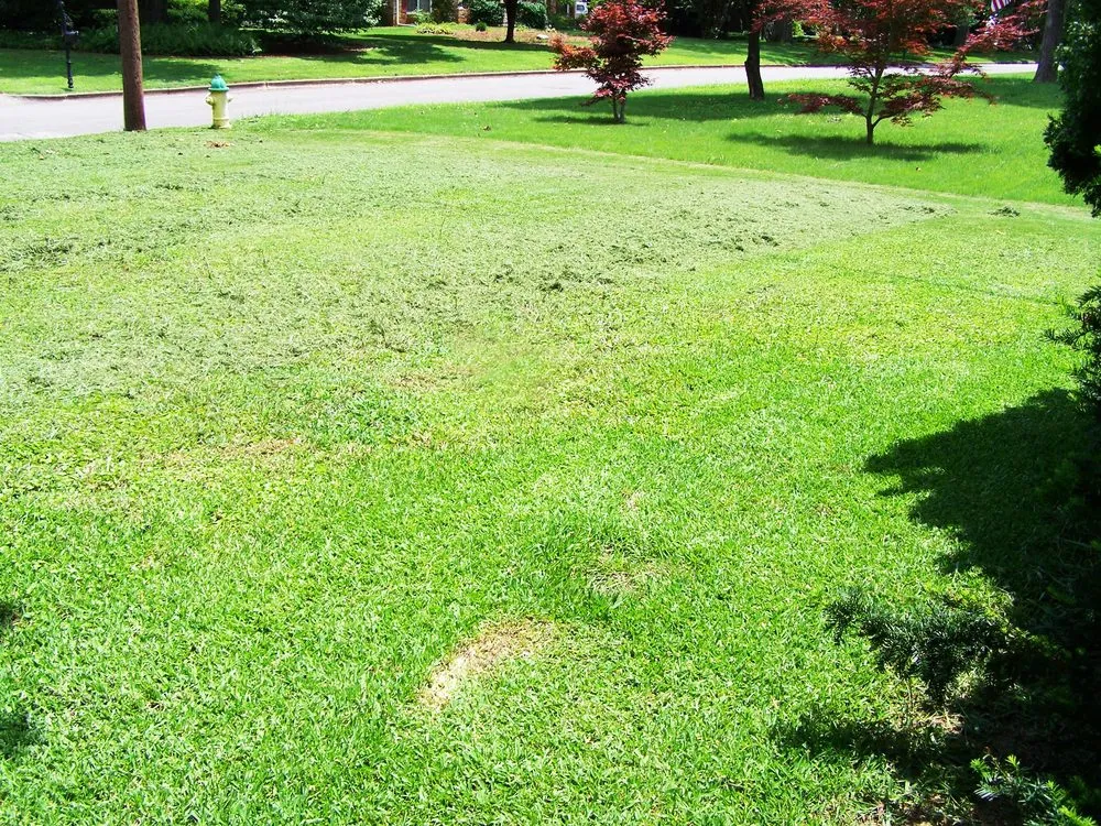 Local landscape installation for year-round maintenance in Huntsville, AL by Harrell Lawn Care Services