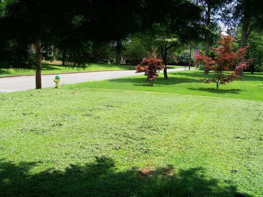Expert lawn care service for residential properties across Huntsville, AL - Harrell Lawn Care Services