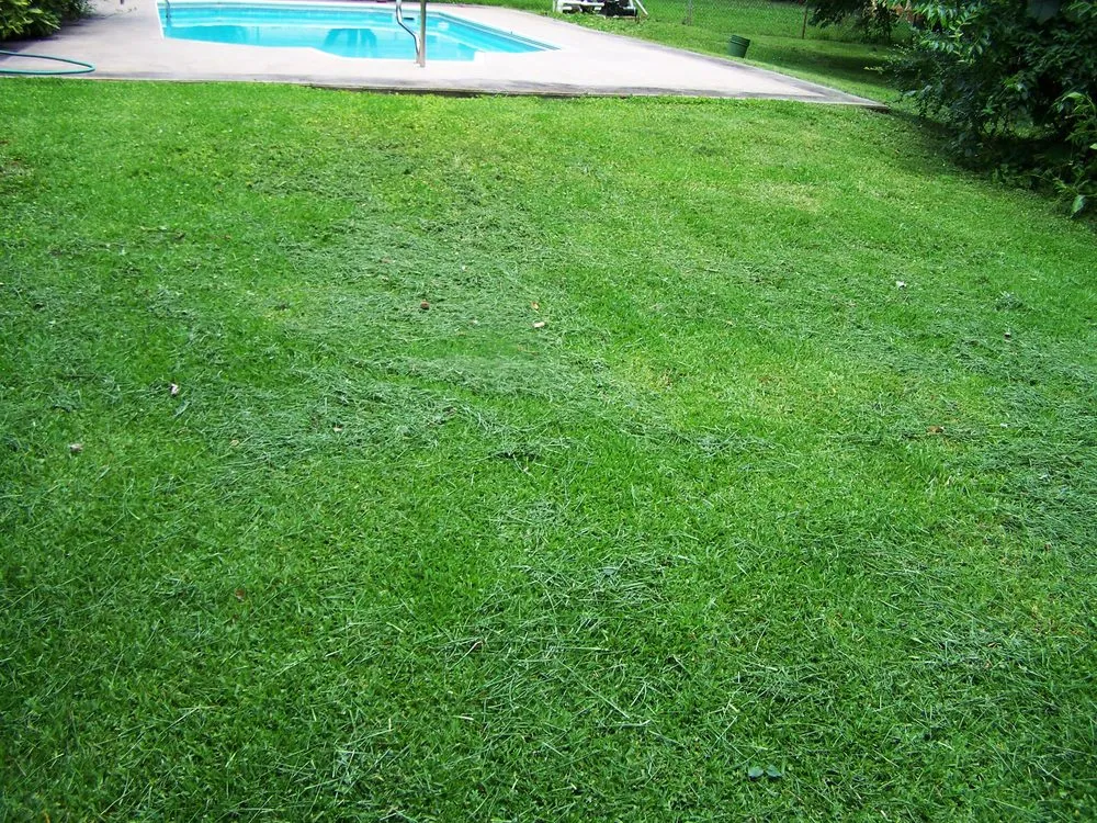 Professional outdoor landscaping for homes in Huntsville, AL by Harrell Lawn Care Services