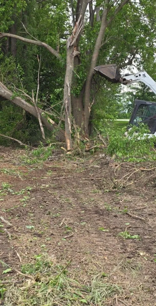 Custom residential landscaping for beautiful yards in Carlisle, IA by Harrelson Services