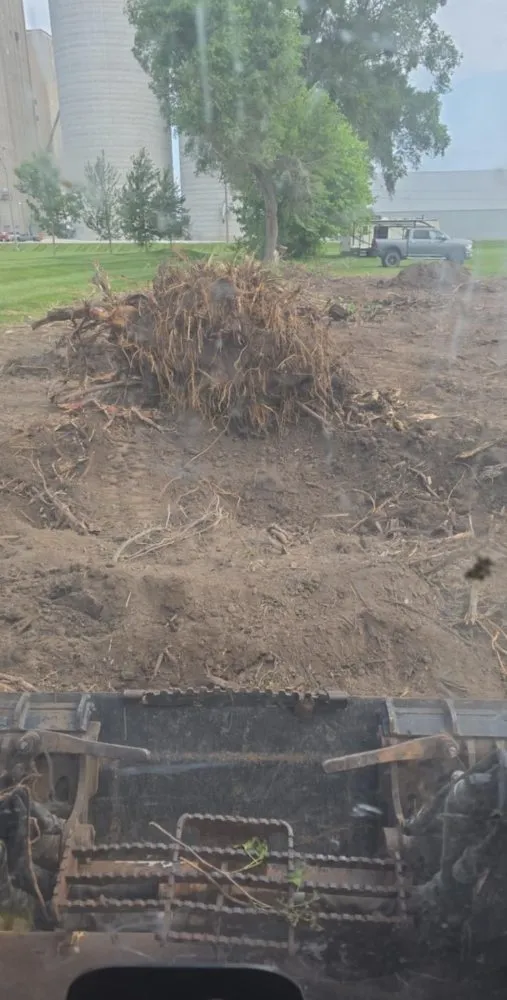 Trusted lawn mowing service in Carlisle, IA by Harrelson Services