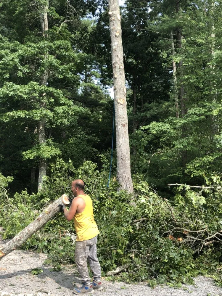 Reliable lawn care service in Carver, MA - Harriman Landscaping