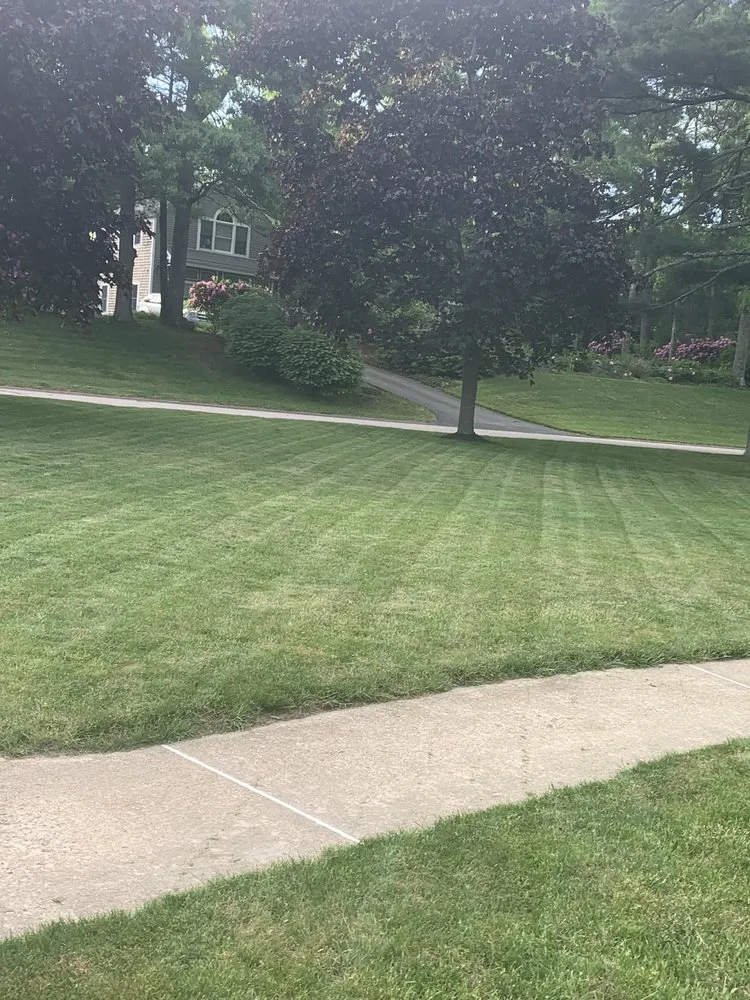 Affordable landscaping services for residential properties in Carver, MA by Harriman Landscaping