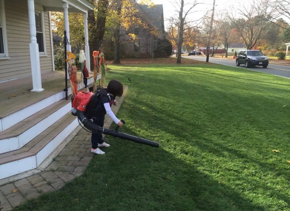 Affordable residential landscaping experts serving Carver, MA - Harriman Landscaping