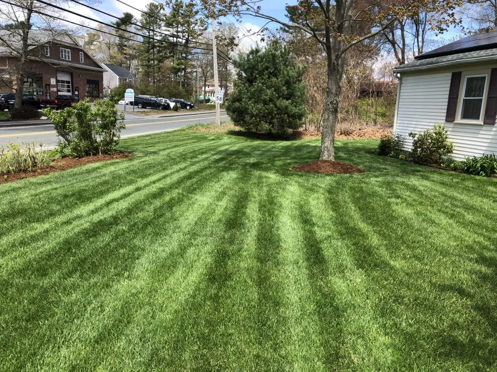 Local landscaping services for homes in Carver, MA by Harriman Landscaping