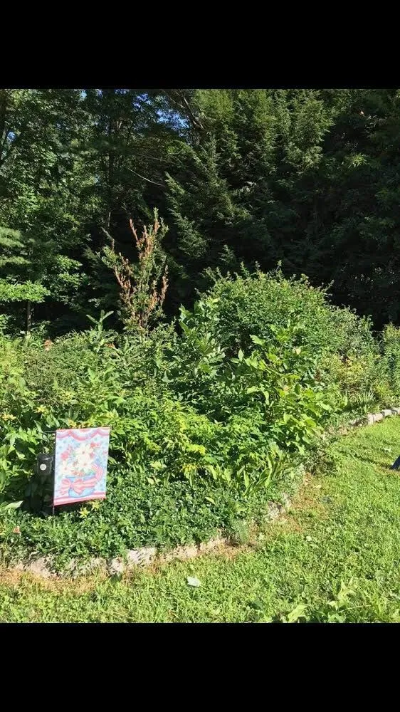 Local garden landscaping experts serving Westminster, MA - Harrington Landscapers