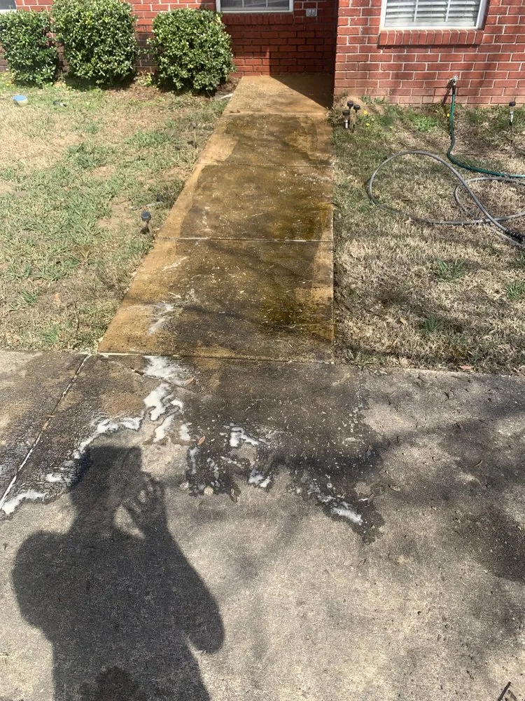 Top-rated yard cleanup service in La Fayette, AL - Harrington Services