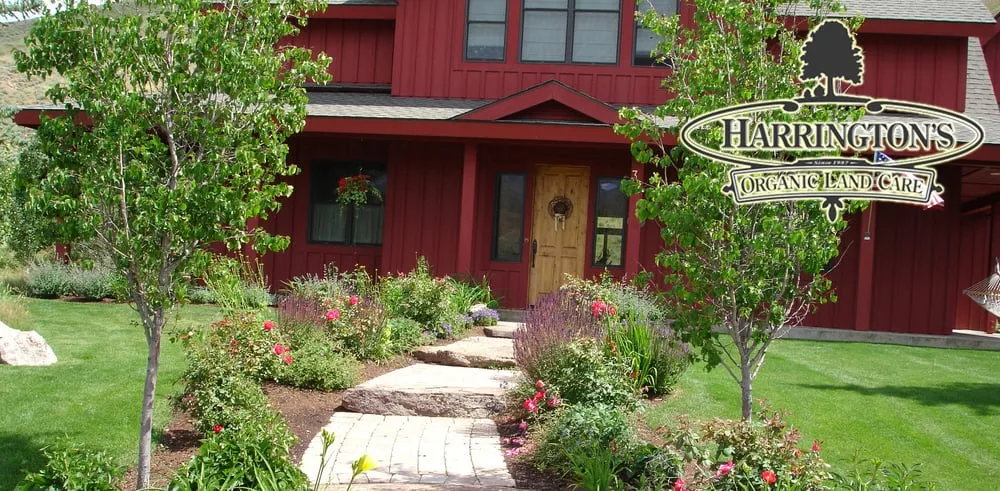 Top-rated lawn mowing service for year-round maintenance in Bloomfield, CT by Harrington's Organic Land Care