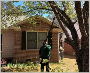 Affordable yard cleanup service in Fayetteville, NC by Harris & Harris Lawncare