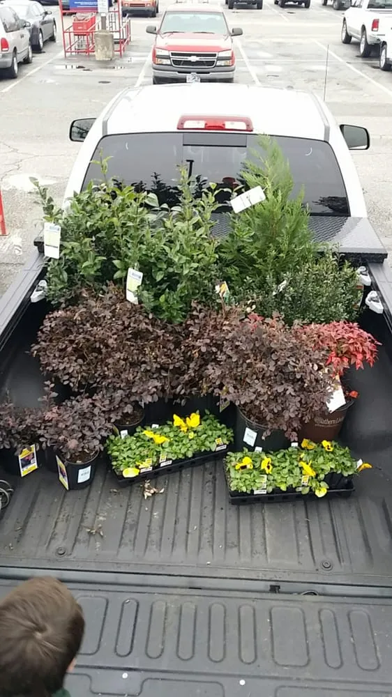 Reliable landscape installation experts serving Fayetteville, NC - Harris & Harris Lawncare