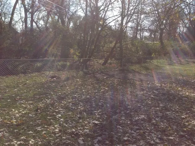 Expert landscaping services for year-round maintenance across Indianapolis, IN - Harris & Son's Landscaping LLC